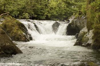 Отель Buckley Arms Dinas Mawddwy Экстерьер фото
