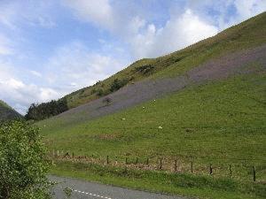 Отель Buckley Arms Dinas Mawddwy Экстерьер фото