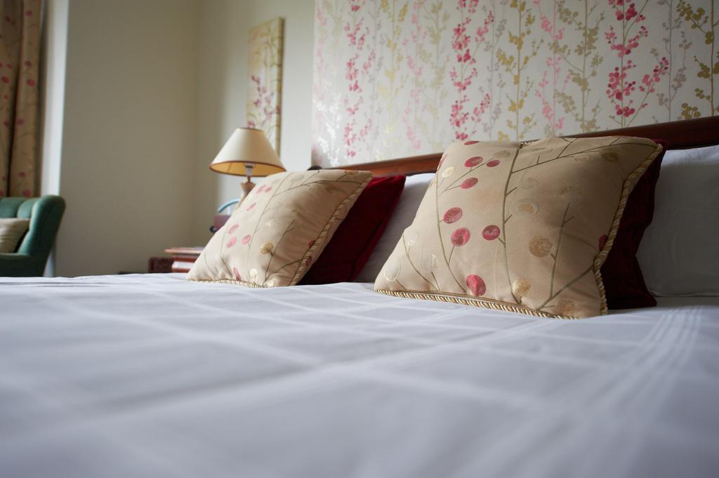 Отель Buckley Arms Dinas Mawddwy Экстерьер фото